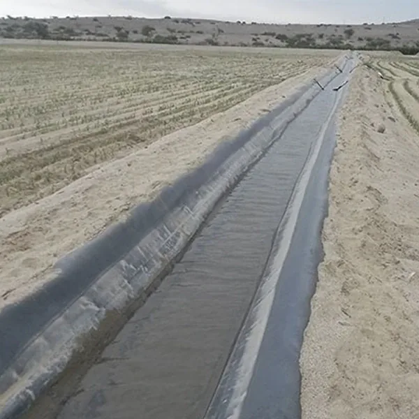 Geosintéticos en Perú 4 GEOSINTETICO Obras hidraulicas y saneamiento 1