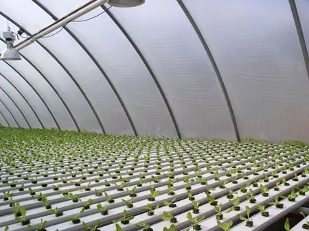 agrofilm en peru